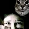 vzmid_