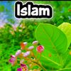 samim.islam0846