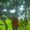 shahedmia657