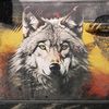 wolfking786
