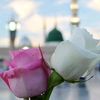 zulkefal74