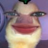 elll_3d