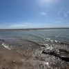 piripipi5