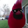 renzcodm04