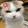 bophacute5