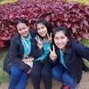 anung.chaisana