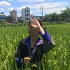 vthdung0902