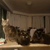 the3puds