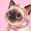 shayn_diungkat
