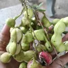 thanhphuong1402