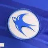 bluebirdmassive