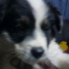 tonny.bantana7