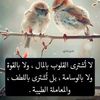 user3920502355580