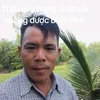 trn.thi0011