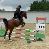 _nieki_2