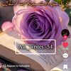 user288202651
