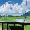 linh50468