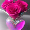 wadan_halak