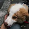 ttruccuteso1