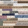 gana.nader573