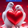 user3381650554066