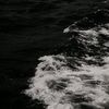 ripi_0208