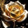 houdahouda5835