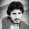 shehramhussain842
