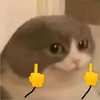 https_carol__