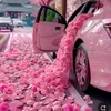 diana.princess80