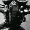 user1319808198270