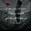 user7483433297861
