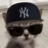 ballerartit