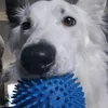 sunnyballipaillettes