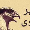 bird_shalwa2