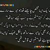 syed.haider.ali46