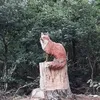 inge.hoffmann24