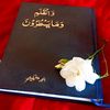 mnkasur7
