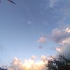 blue.love9099