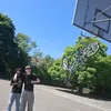 kingssidney