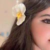 nn.mlak