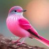 rosa.ma.byen