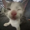 user_iuuank