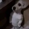 eorafikkj
