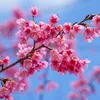 andy.tran482