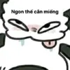 .nguynsybau