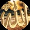 user922438185