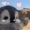 nooyim25