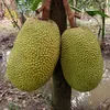 thinhabc.nguyen