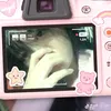 ocsen_02.cutii